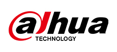 dahua